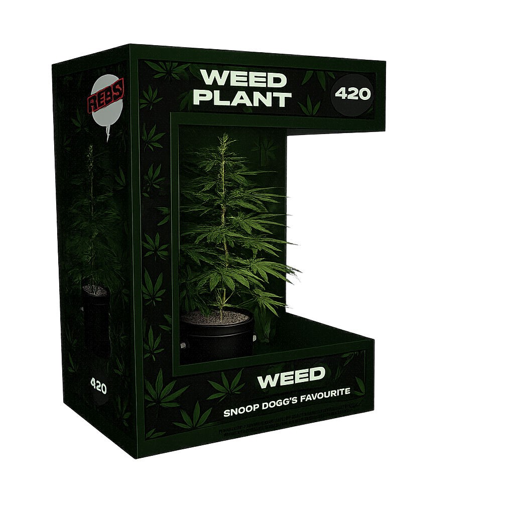 Weed Plant Reds Pop