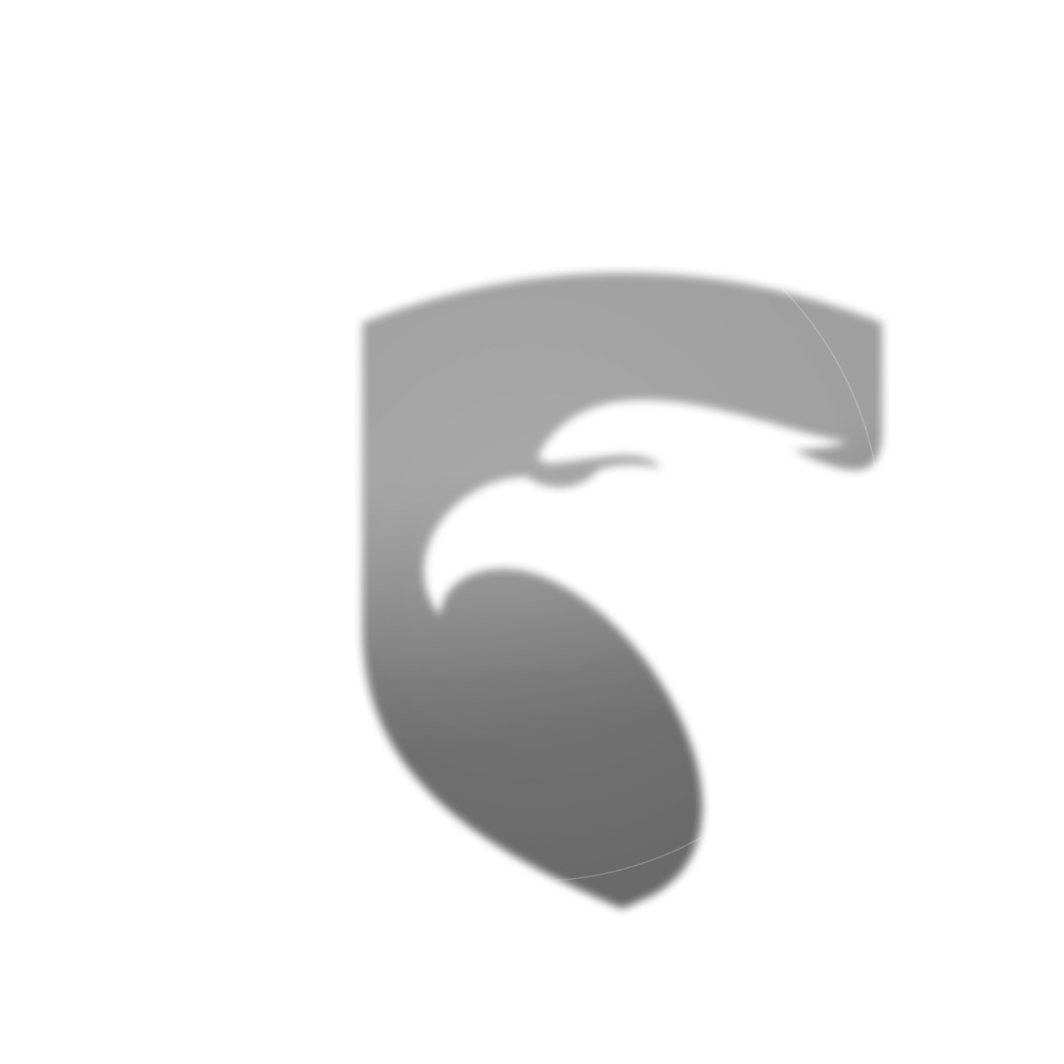 STG Store Large Decorative Logo