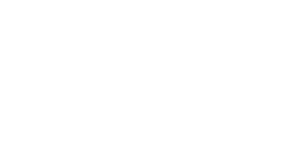 Logo Bit Scripts